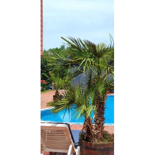 Apartament CACAO RESIDENCE