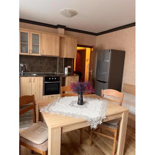 Apartament Marinela 2
