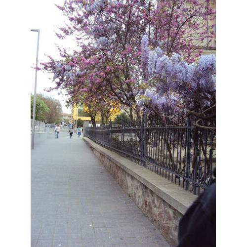 Apartment Alyosha
