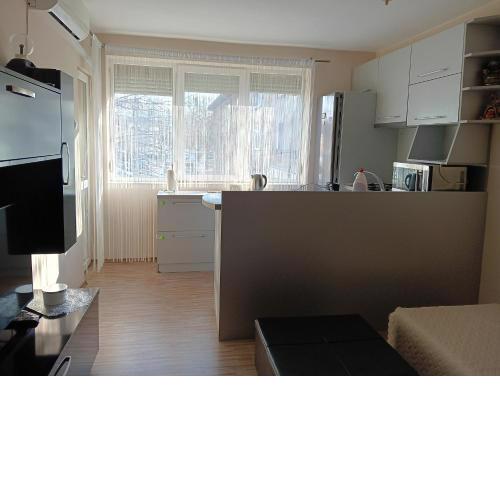 Apartment Andri