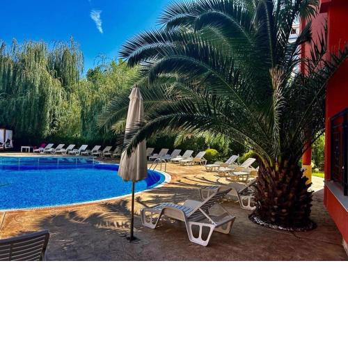 Apartment Aphrodite 2