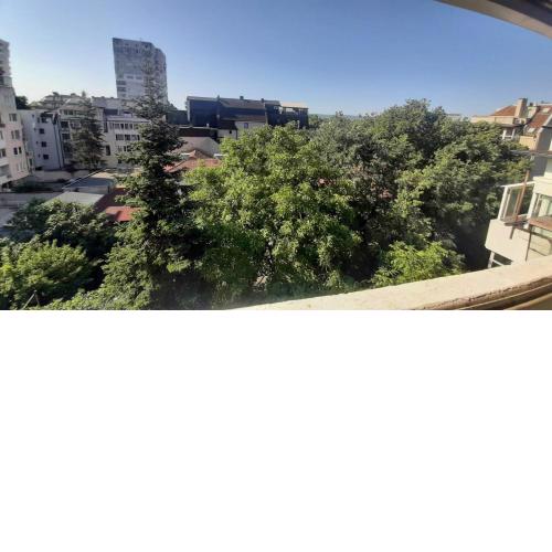 Apartment Icovi