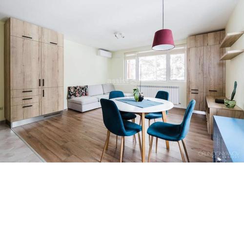 Apartment in Boyana