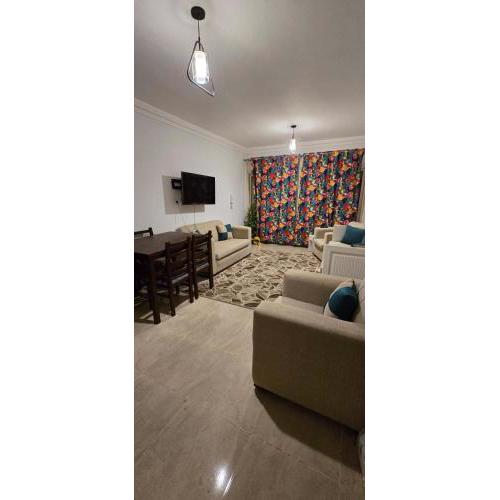Apartment in sheikh zayed city