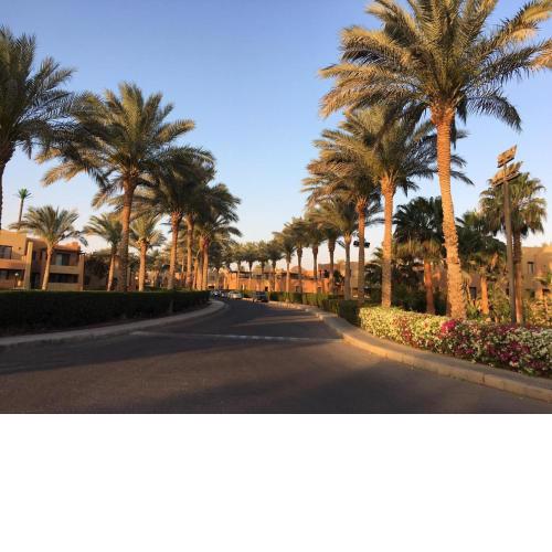 Apartment in Stella di Mare Hurghada