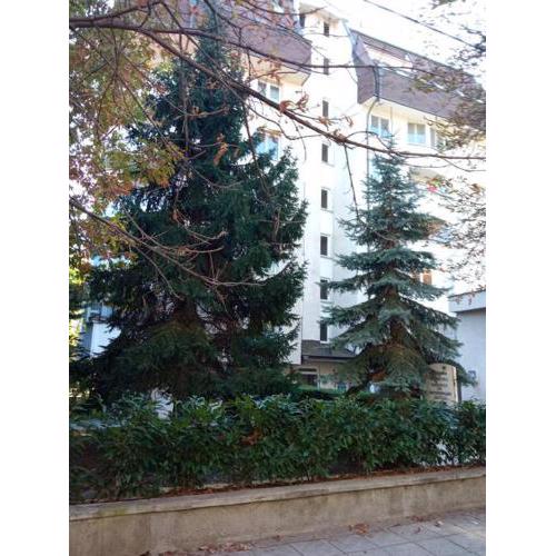 Apartment LOZENEC