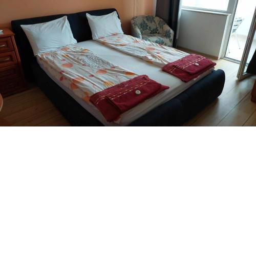 Apartment Moni 2