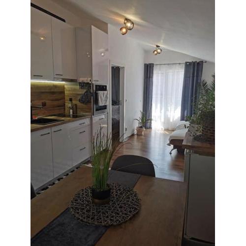 APARTMENT SIYANA