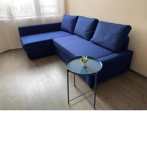 Apartment Starfish