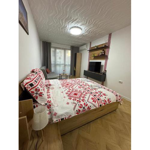 Apartment Studio Shevitsa 2