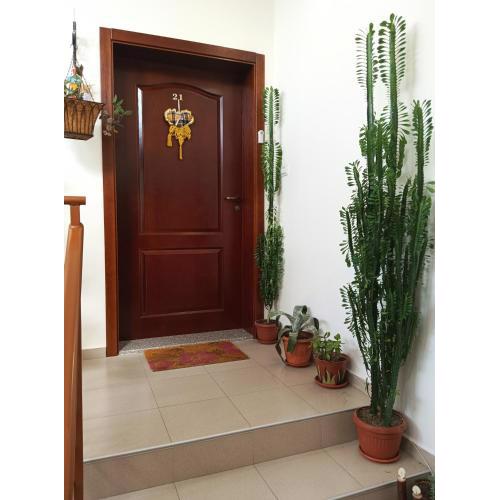 Apartment Ventuno 21