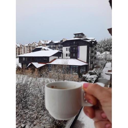 Apartment Wintermärchen Bansko