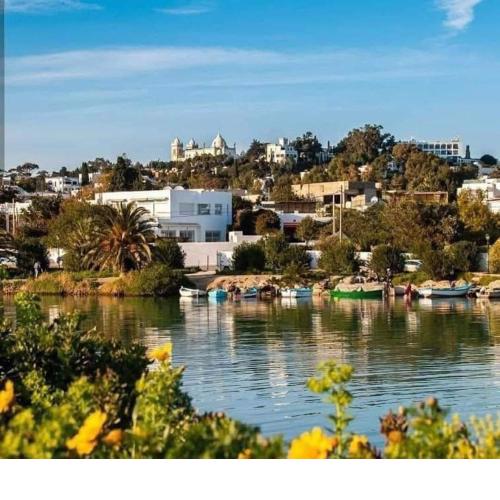 Appartement à Carthage byrsa
