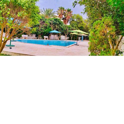 APPARTEMENT RAYHAN Yasmine Hammamet