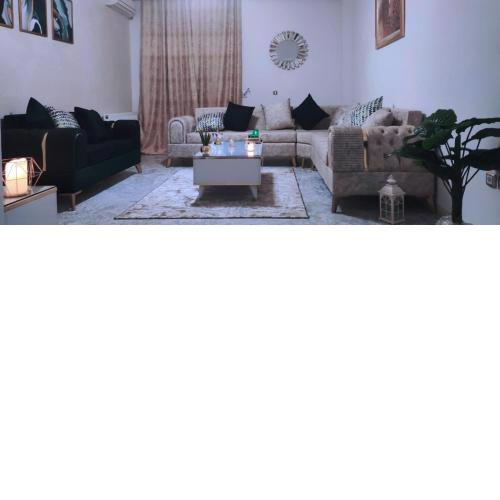 Appartement richement meublé à l'aouina