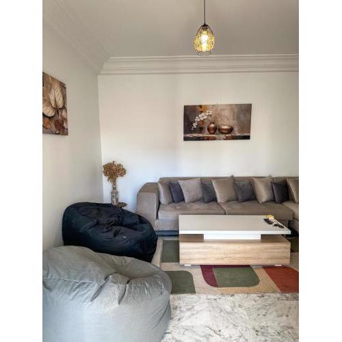 appartement richement meublé