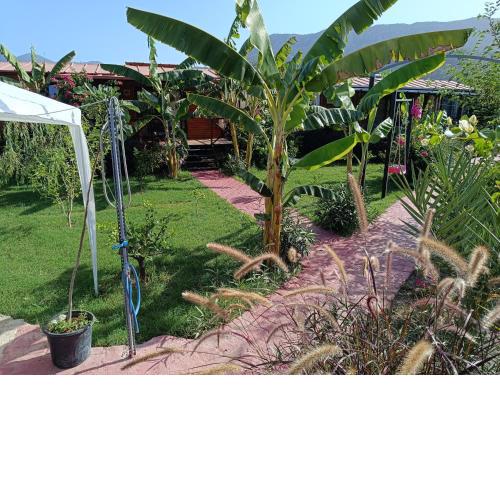 Arlin Bungalows