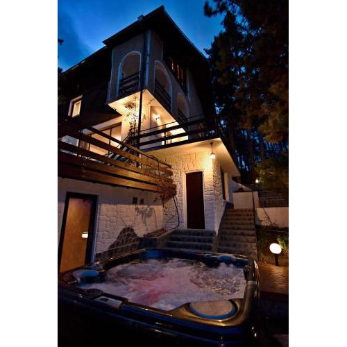 Art Spa Villa Gal