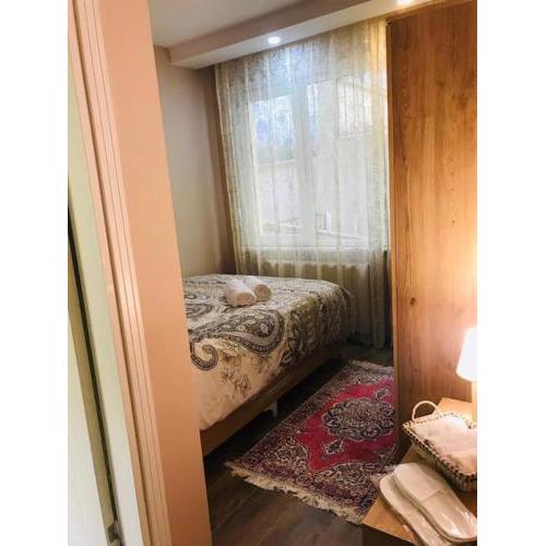 Arya one bedroom comfortable flat in Cihangir