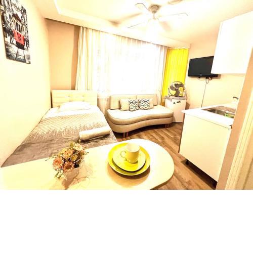Arya studio flat in Cihangir 13