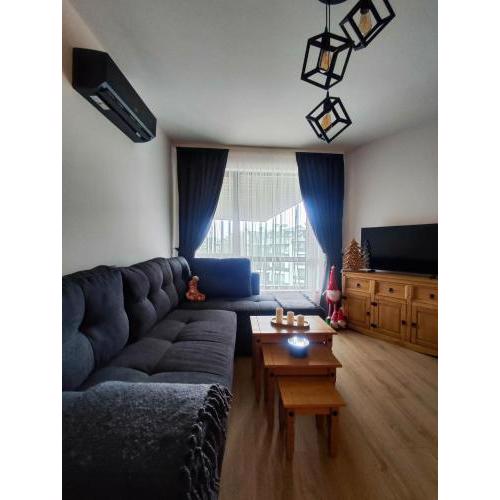 Aspen Resort Studio I306