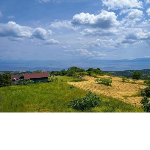 Assos Sizin Ev