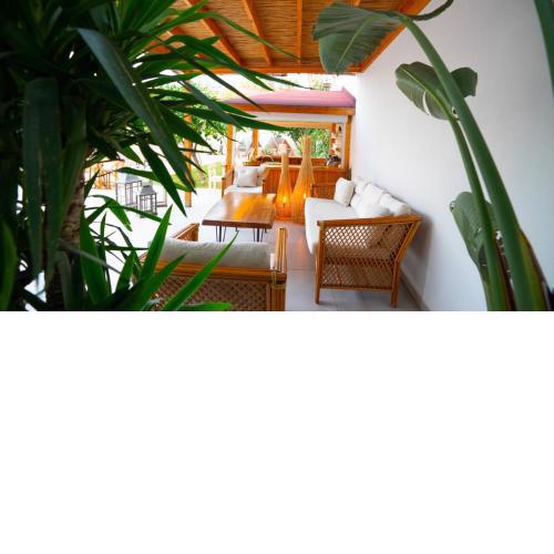 Audo Studio
