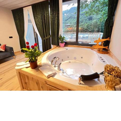 Ayder Vip River