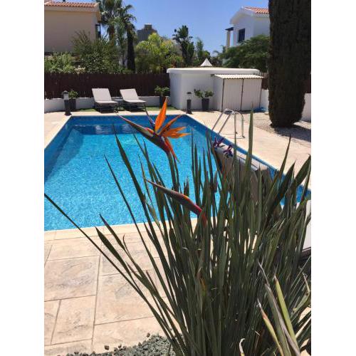 Ayia Thekla 65 House