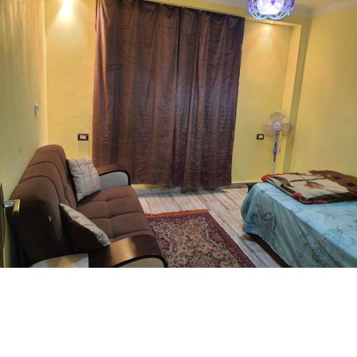 شقه للايجار المفروش b11 m11218