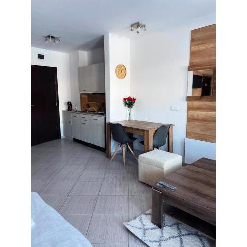 B8 Luxury Studio Apartment in Green Life, Bansko