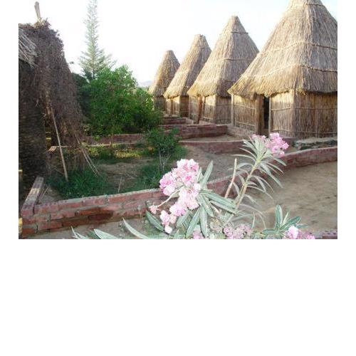 Badry Sahara Camp