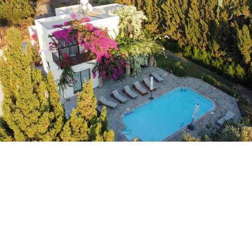 Banana Sunset Villas