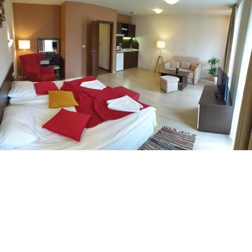 Banderitsa Apartments with kitchen & BBQ