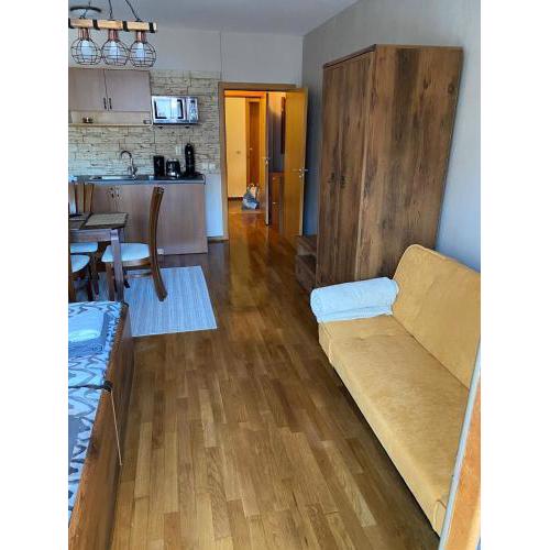 Bansko SPA Studio at Predela1