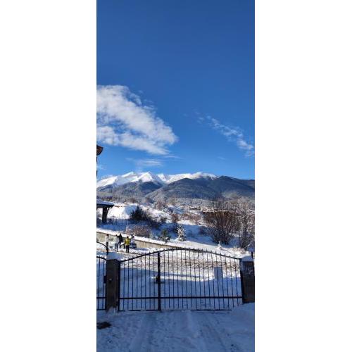 Bansko St Ivan Rilski Luxury Apartment 4 stars Free SPA & Mineral water