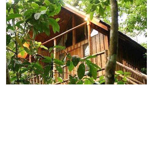 Bayrams Tree Houses
