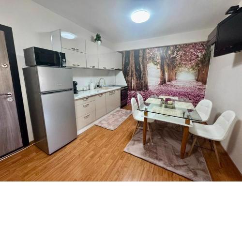 Beach two bedroom apartment Dani