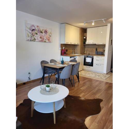 Beautiful apartments in Bansko