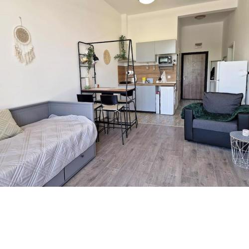 Beautiful & cosy studio in complex Shartrez