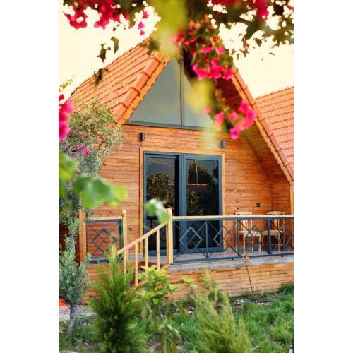 Begonvil Bungalow Apart Demre 1