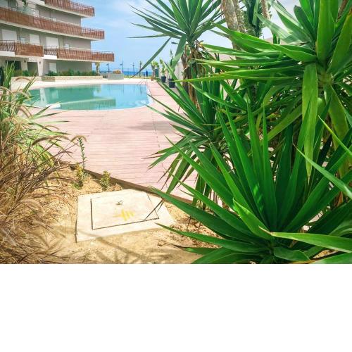 Bel Appartement au front de la mer