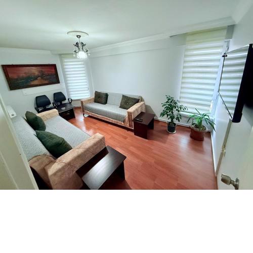 Best apartment with kitchen in the center