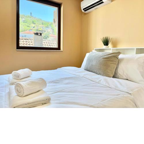 Best Hill View Apartment for 4 Guests next to Medical University and Monument Alyosha