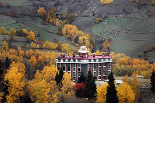 Black Forest Hotel
