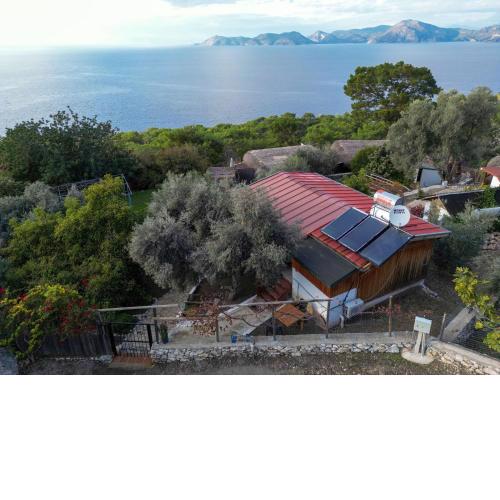 BlueSea Faralya -Mercan