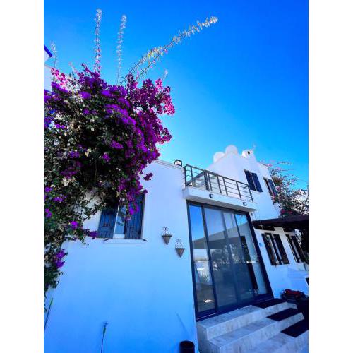 Bodrum Yalıkavak Villa
