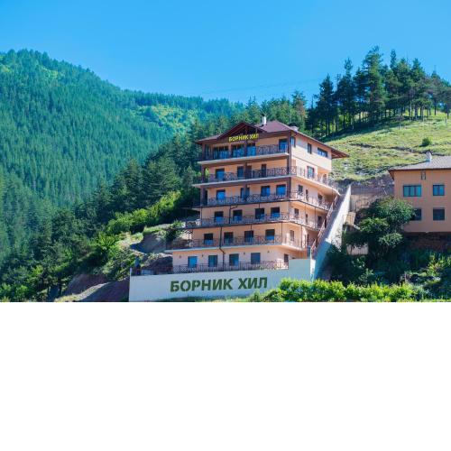 Борник Хил / Bornik Hill
