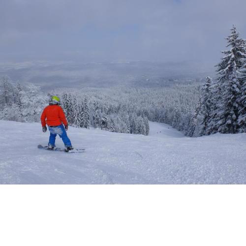 Borovets Apartment, Villa Park