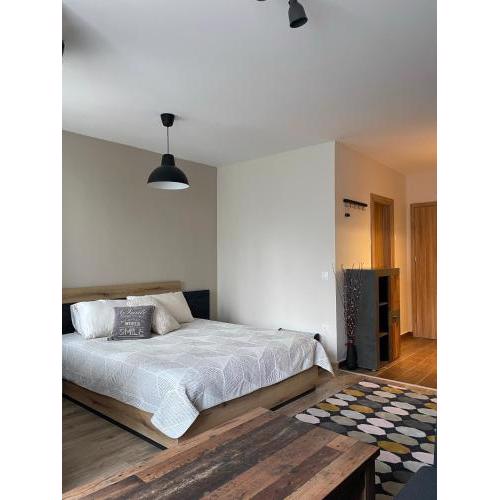 Borovets Gardens - Studio E 27